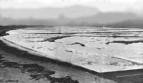 Minnis Bay 1960's 