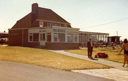 The Minnis 1990's