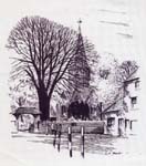 1981 Sketch by J Burley