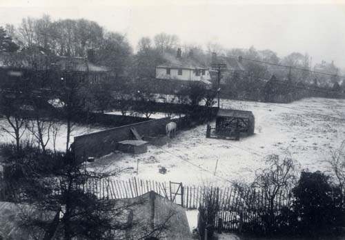 Allotments behind Alpha Road c1953
