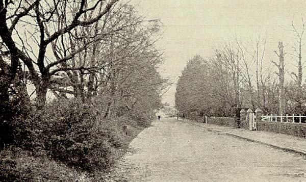 View toward Station c 1900
