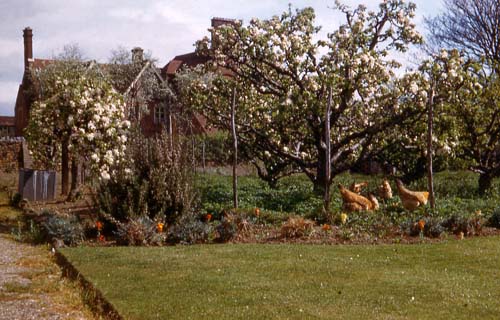 Hollydene Garden & Thicket