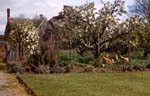 Hollydene Garden & Thicket