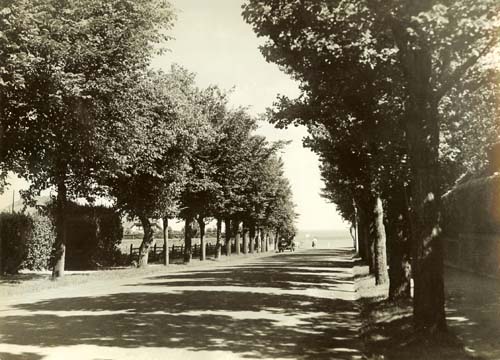 Beach Ave 