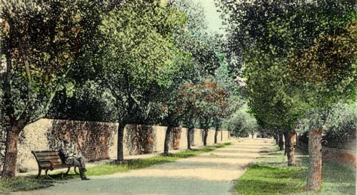 Spencer Road c1909