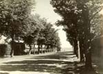 Beach Ave 
