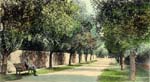 Spencer Road c1909
