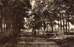 Hall Avenue
