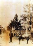 From the Square c.1880