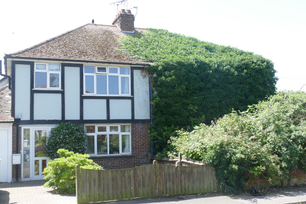 Green House in Lincoln Gardens 2021