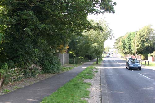 Pond site from north 2007