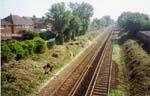 towards Westgate 2006