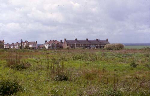 Minnis Road Allotments 1966