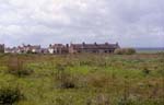 Minnis Road Allotments 1966